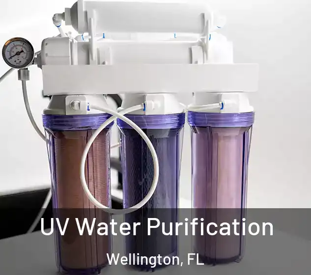  UV Water Purification Wellington, FL