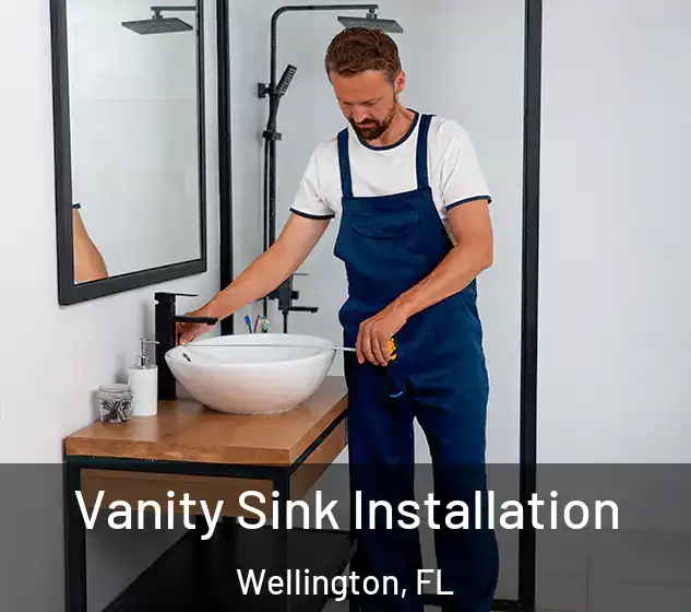  Vanity Sink Installation Wellington, FL