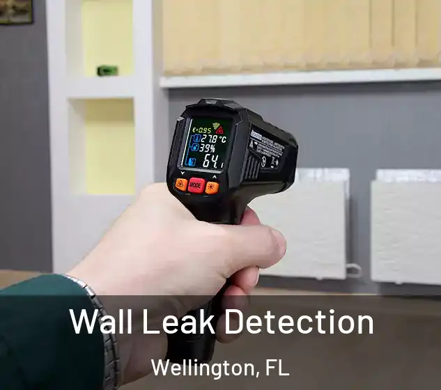  Wall Leak Detection Wellington, FL