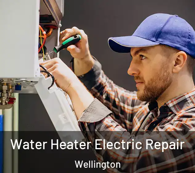  Water Heater Electric Repair Wellington