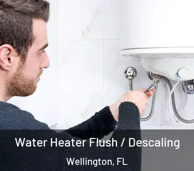  Water Heater Flush / Descaling Wellington, FL
