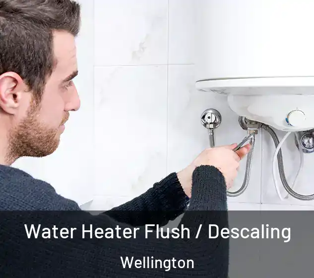  Water Heater Flush / Descaling Wellington