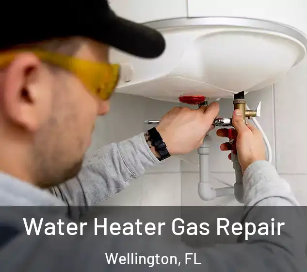  Water Heater Gas Repair Wellington, FL