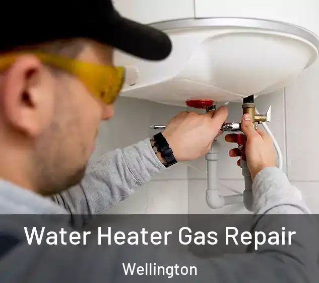  Water Heater Gas Repair Wellington