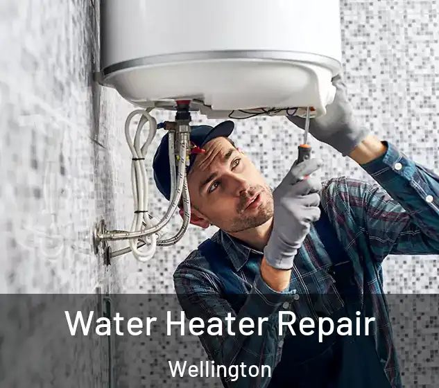  Water Heater Repair Wellington