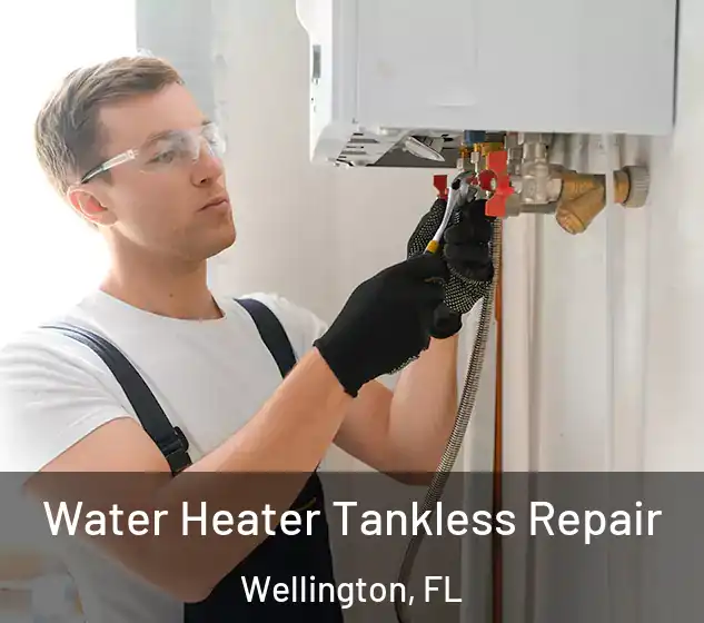  Water Heater Tankless Repair Wellington, FL