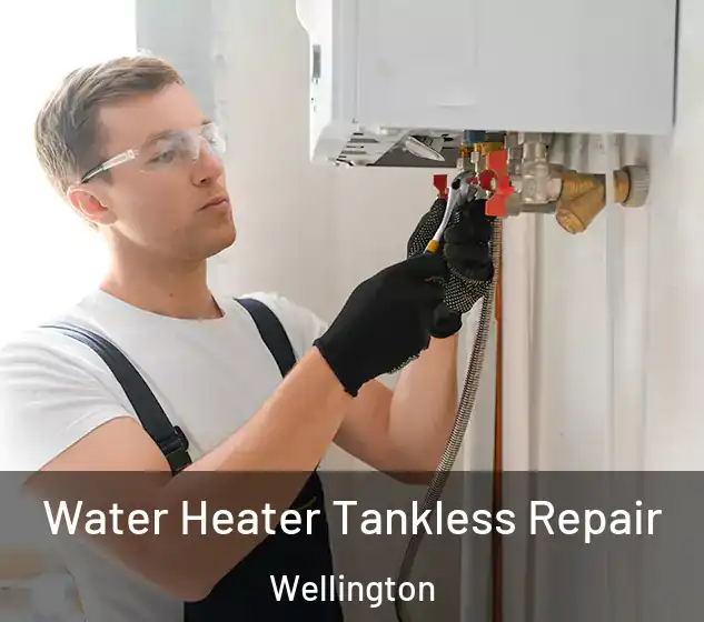  Water Heater Tankless Repair Wellington