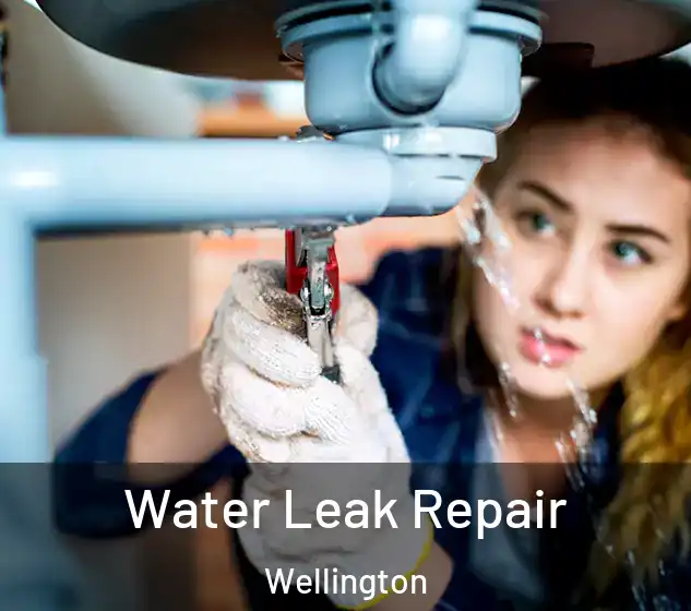  Water Leak Repair Wellington