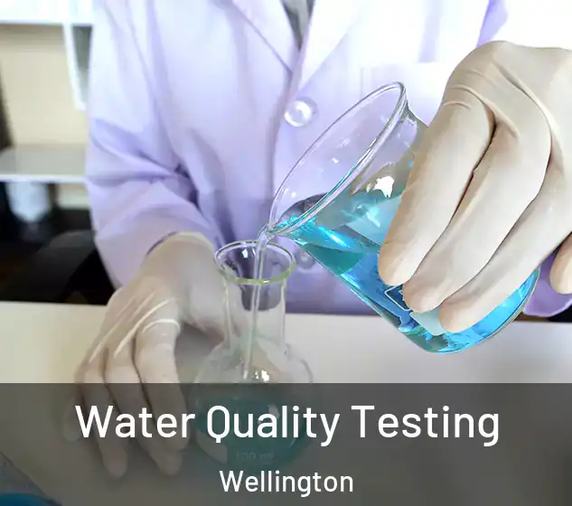 Water Quality Testing Wellington