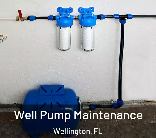  Well Pump Maintenance Wellington, FL