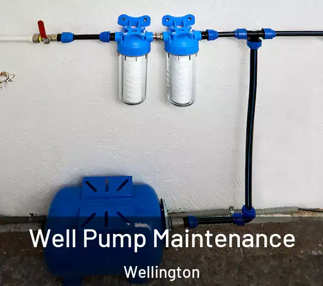  Well Pump Maintenance Wellington