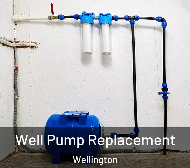  Well Pump Replacement Wellington